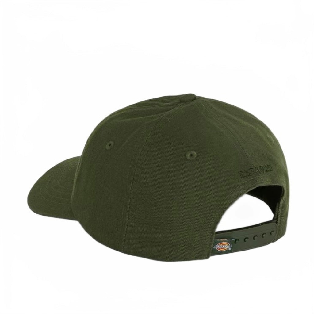 DICKIES DKATKVL HARDWICK en color VERDE  (5)