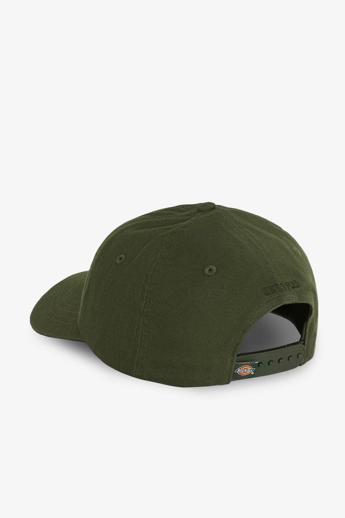 DICKIES DKATKVL HARDWICK en color VERDE  (2)