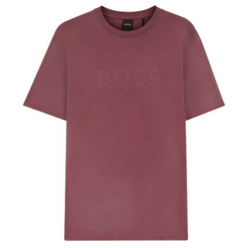 BOSS HB TE LOGO en color   (4)