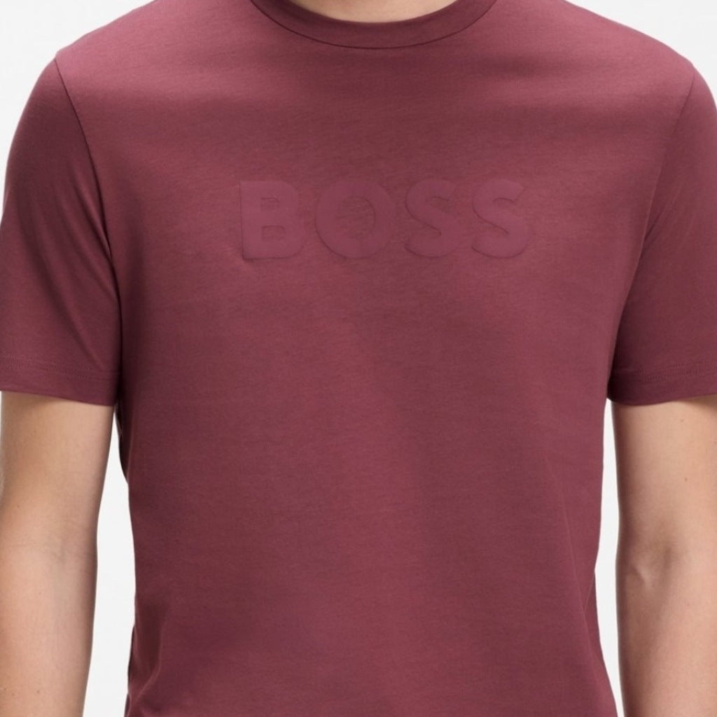 BOSS HB TE LOGO en color   (6)