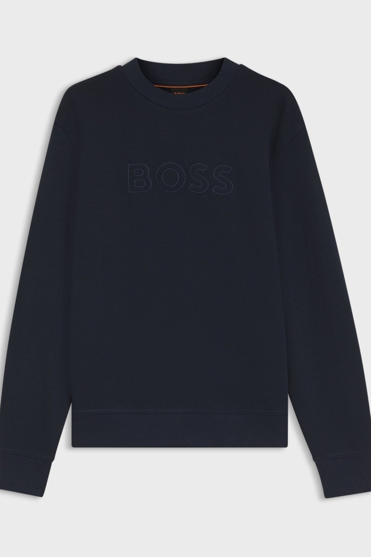 BOSS HB WE LOGO en color AZUL  (1)