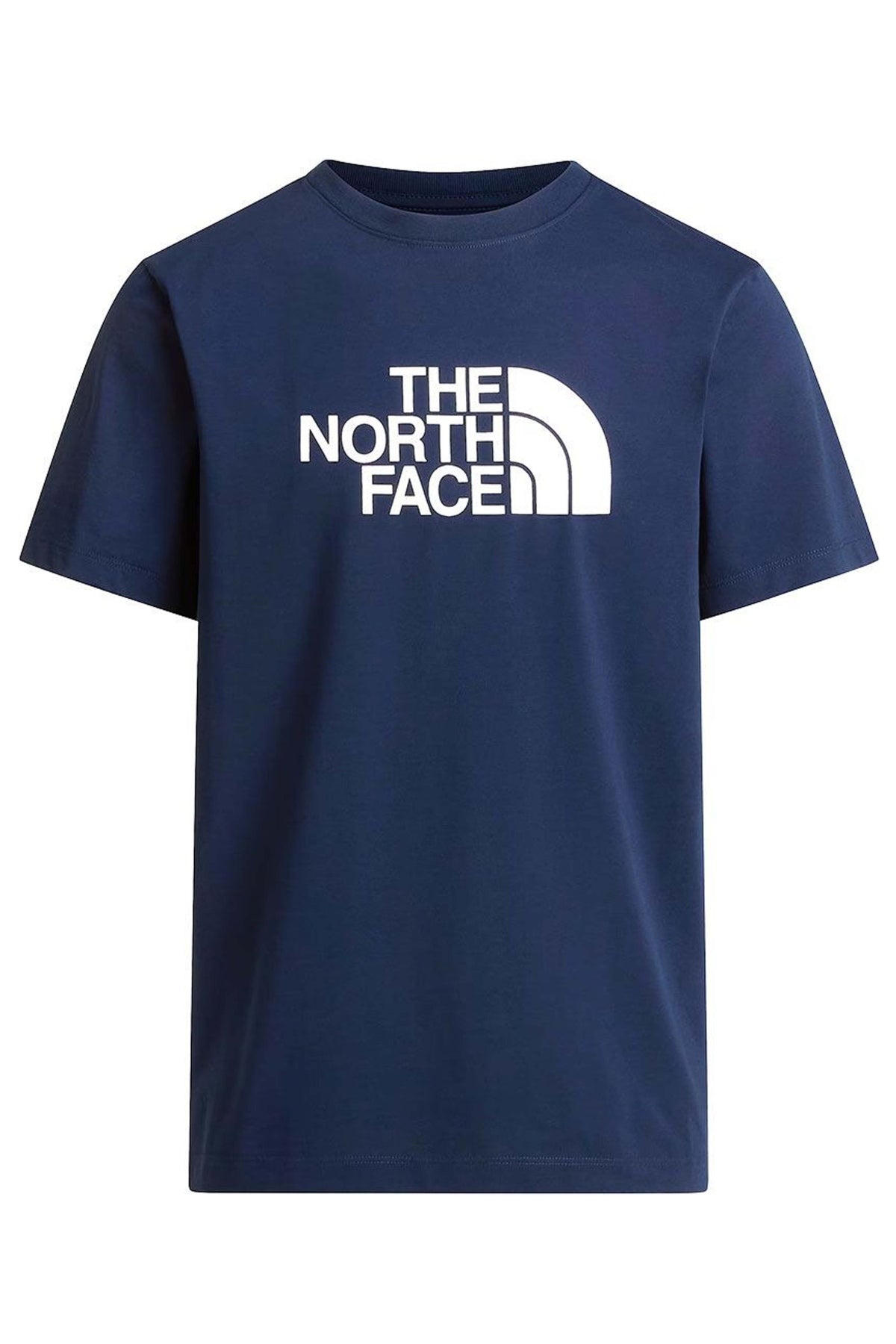 THE NORTH FACE NFABJI en color AZUL  (1)