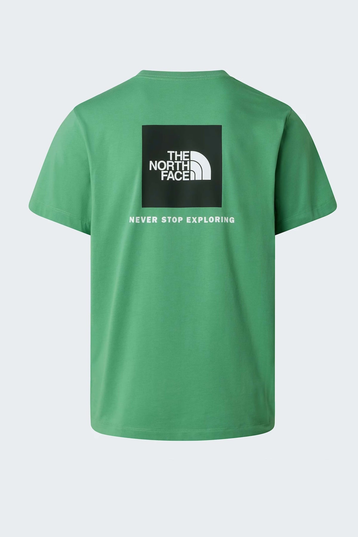 THE NORTH FACE  en color VERDE  (2)