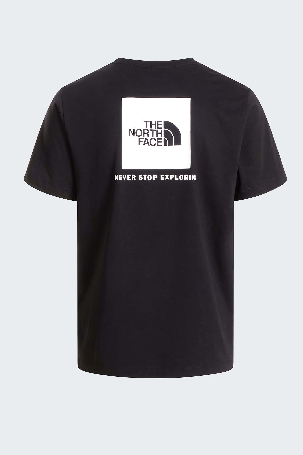 THE NORTH FACE  en color NEGRO  (1)