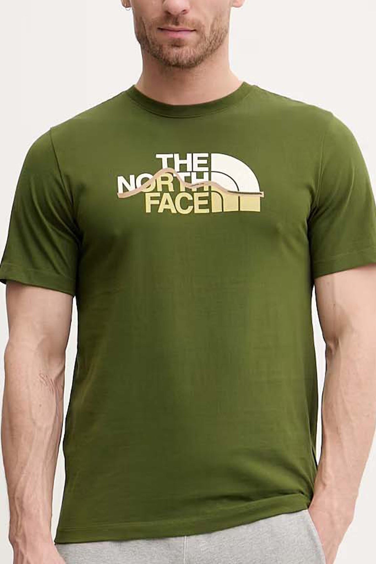 THE NORTH FACE  en color VERDE  (2)