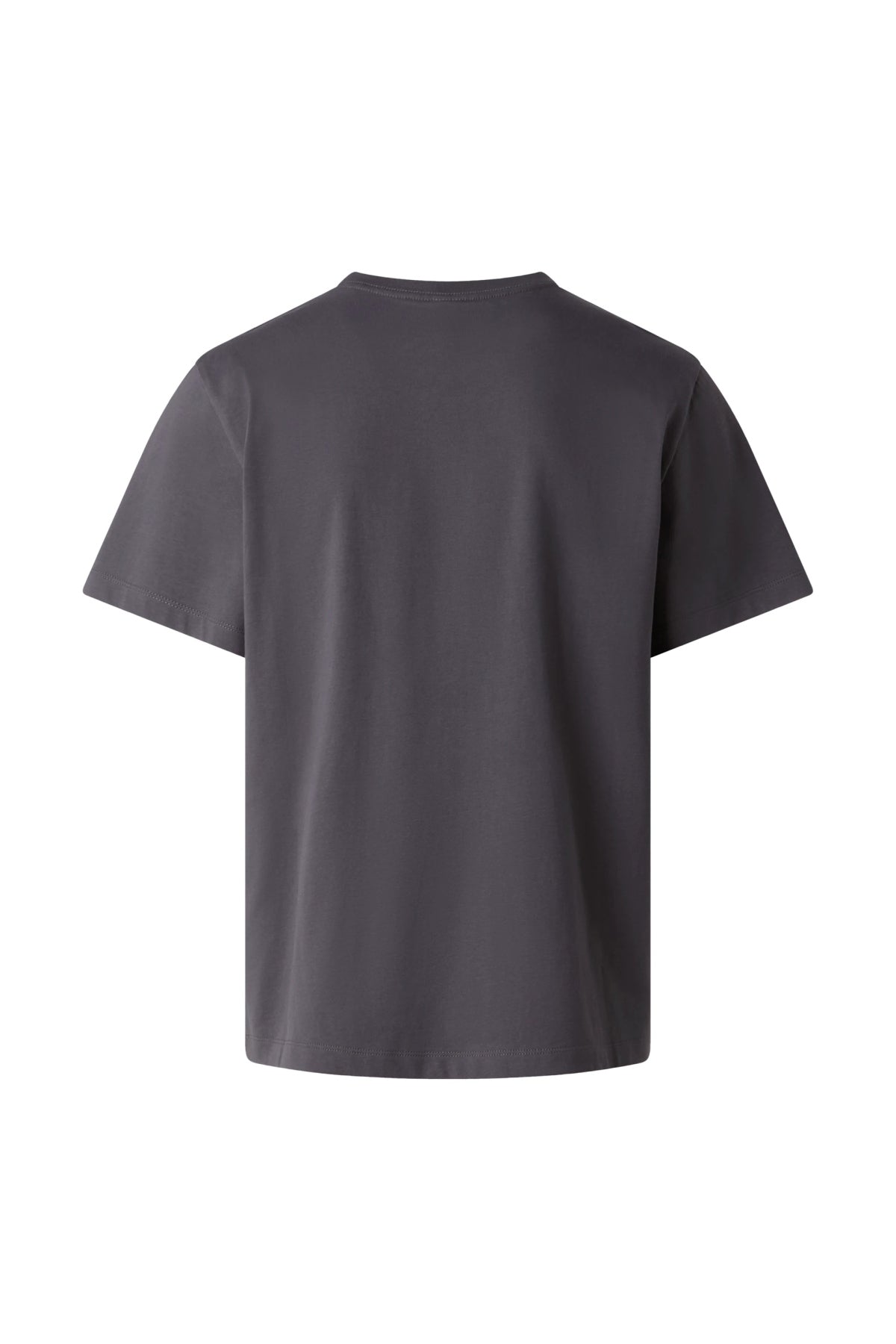 THE NORTH FACE NFAGQERHI en color GRIS  (2)