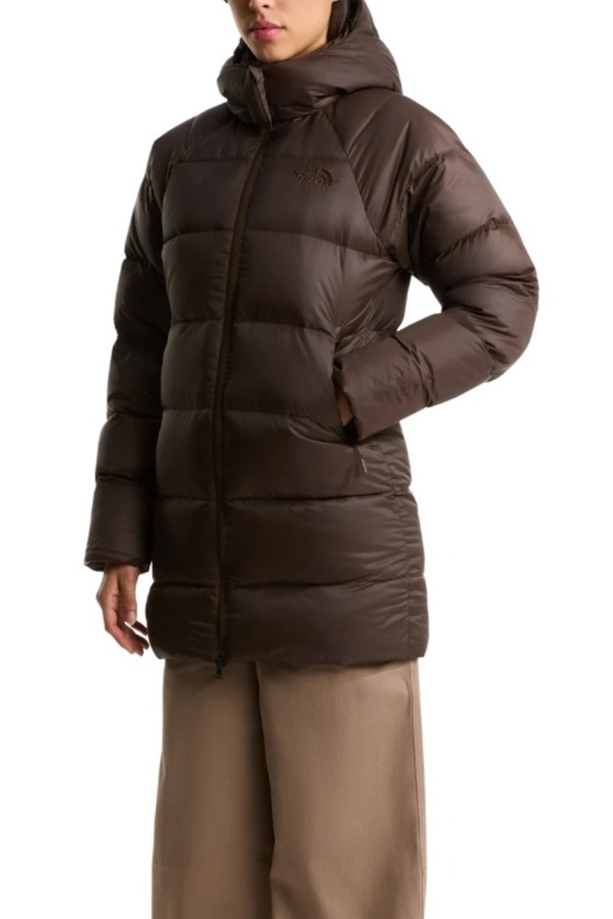 THE NORTH FACE W HYDRN CITY DWN HD en color MARRON  (1)