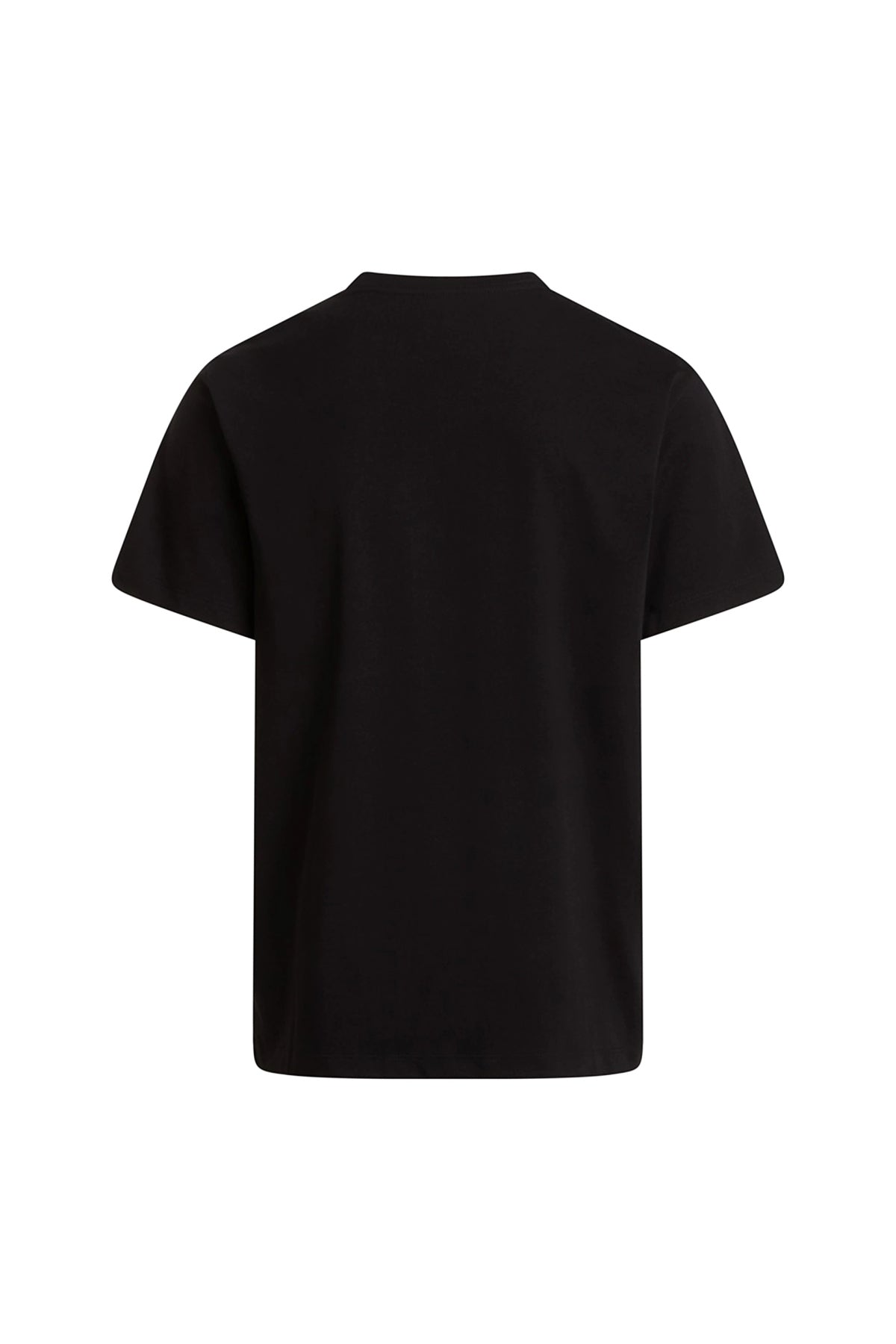 THE NORTH FACE M EVO SD REG SS TEE en color NEGRO  (2)
