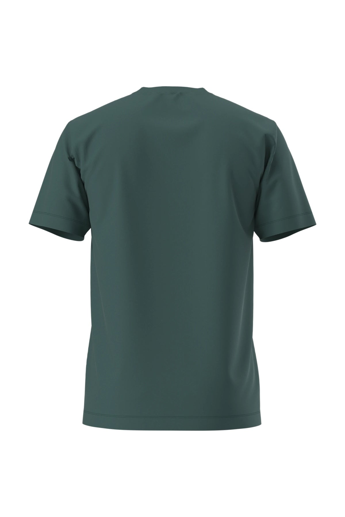 THE NORTH FACE M EVO SD REG SS TEE en color VERDE  (2)