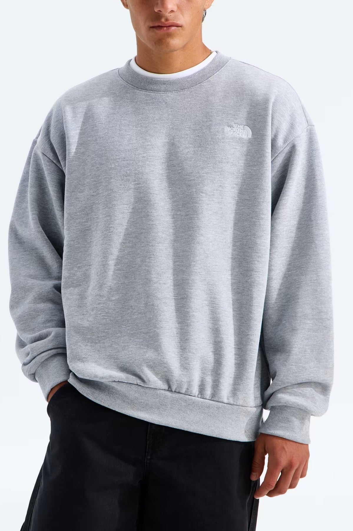 THE NORTH FACE M EVO SD REG CREW en color GRIS  (2)