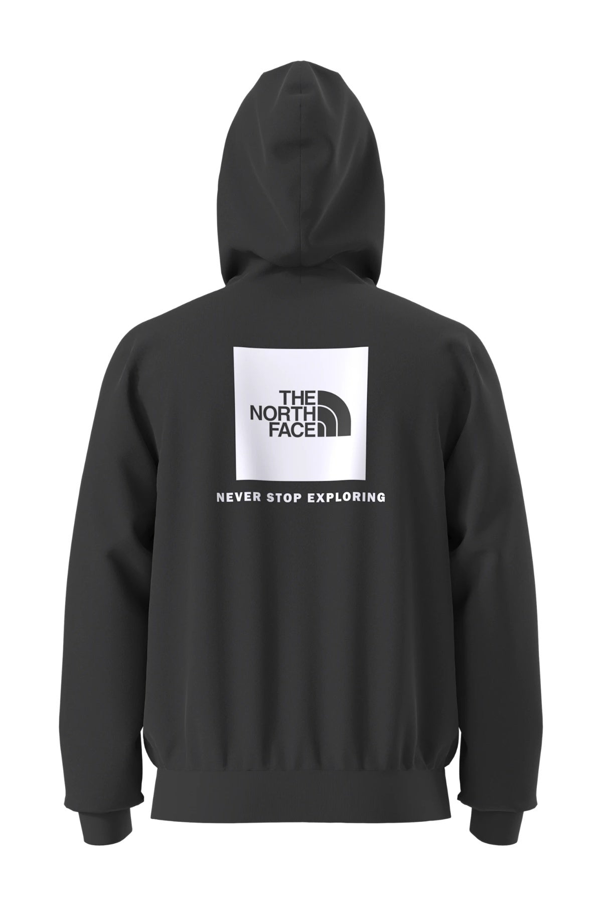 THE NORTH FACE M EVO BOX NSE REG HD en color   (2)