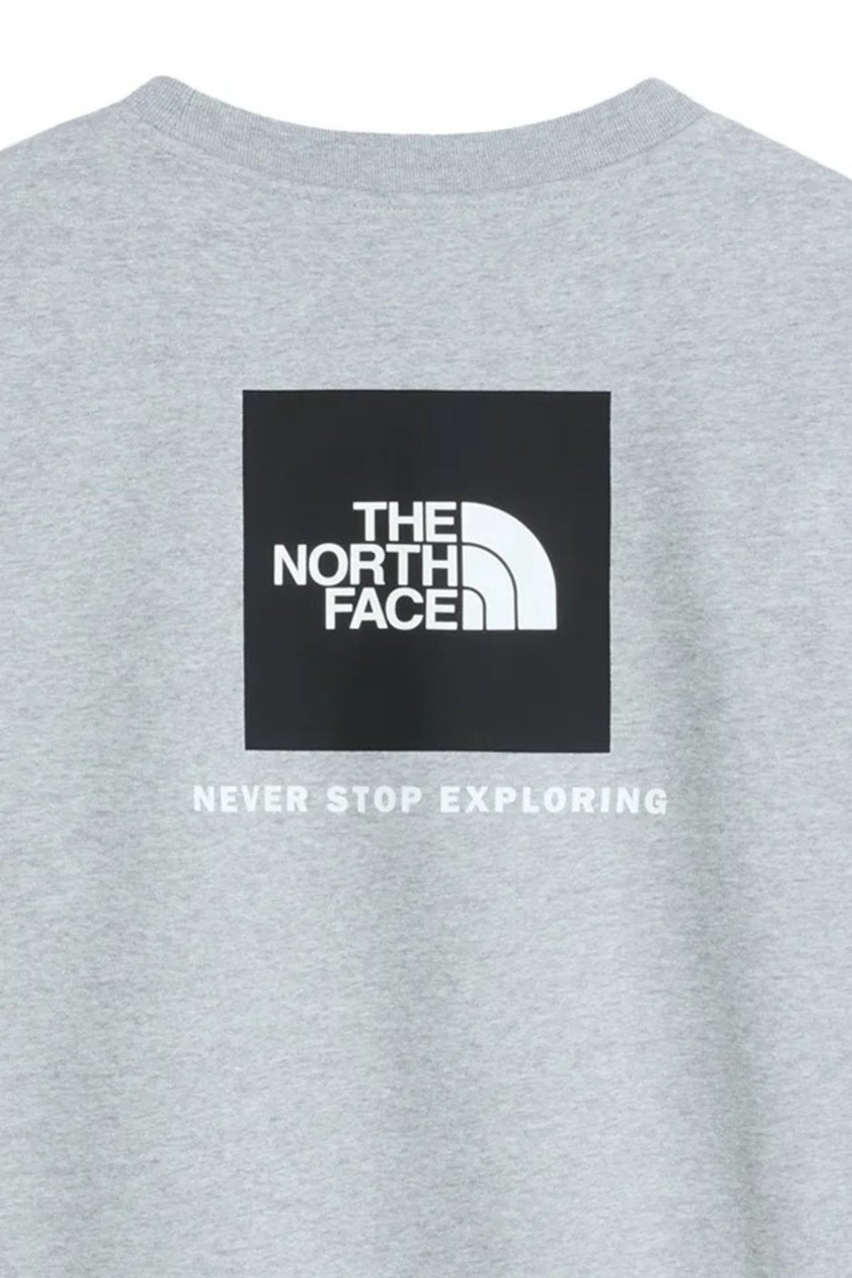THE NORTH FACE M EVO BOX NSE REG CREW en color GRIS  (4)
