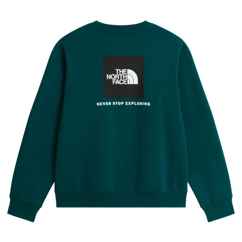 THE NORTH FACE M EVO BOX NSE REG CREW en color   (5)