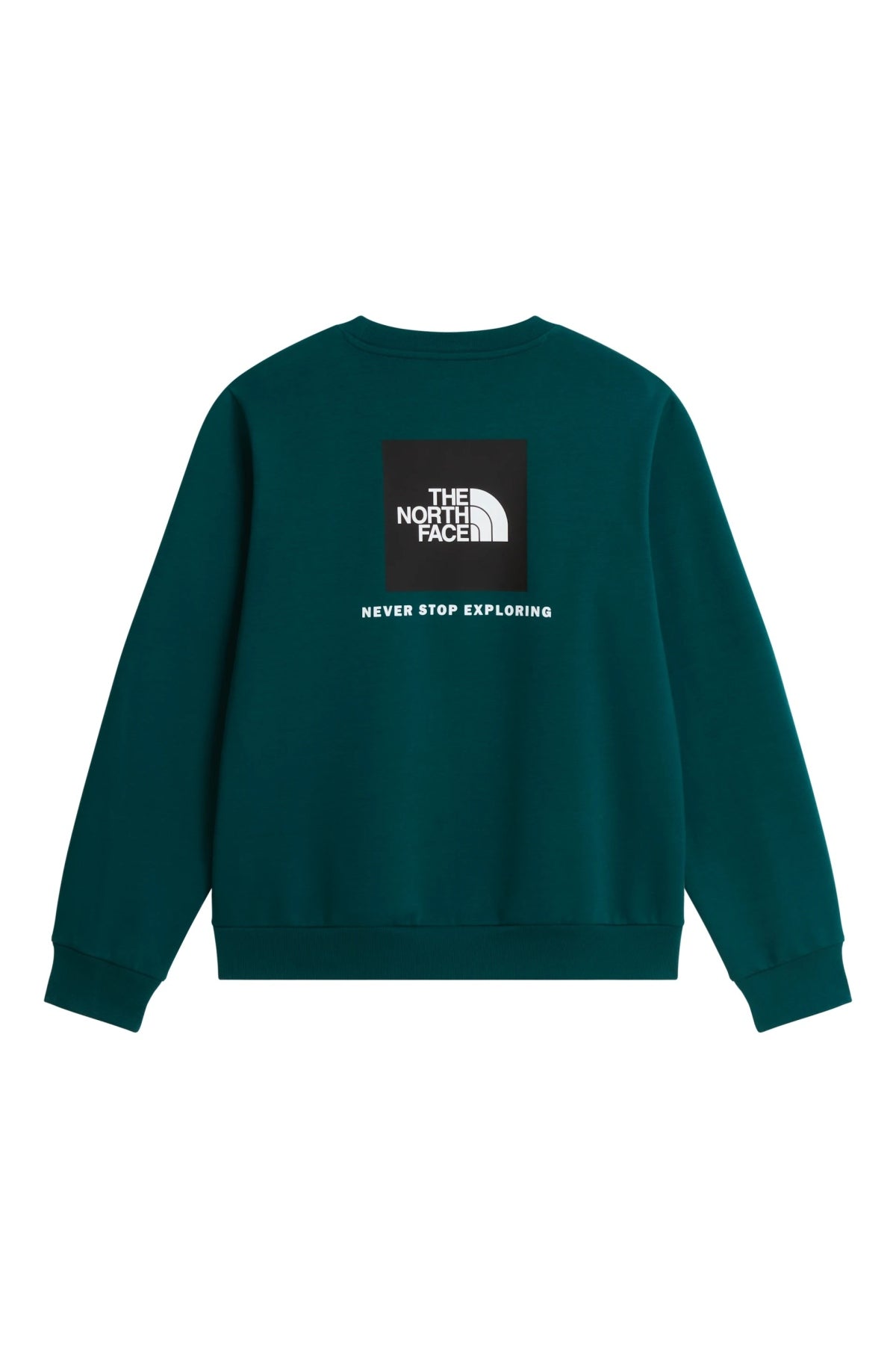 THE NORTH FACE M EVO BOX NSE REG CREW en color   (2)