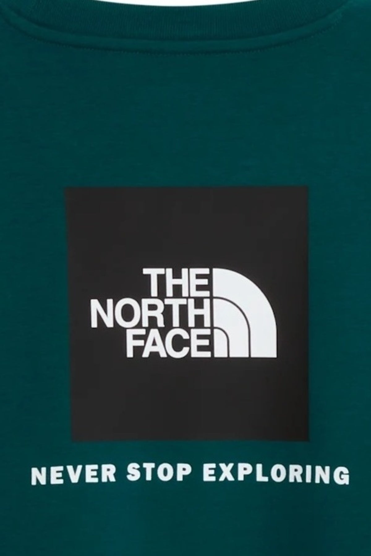 THE NORTH FACE M EVO BOX NSE REG CREW en color   (3)