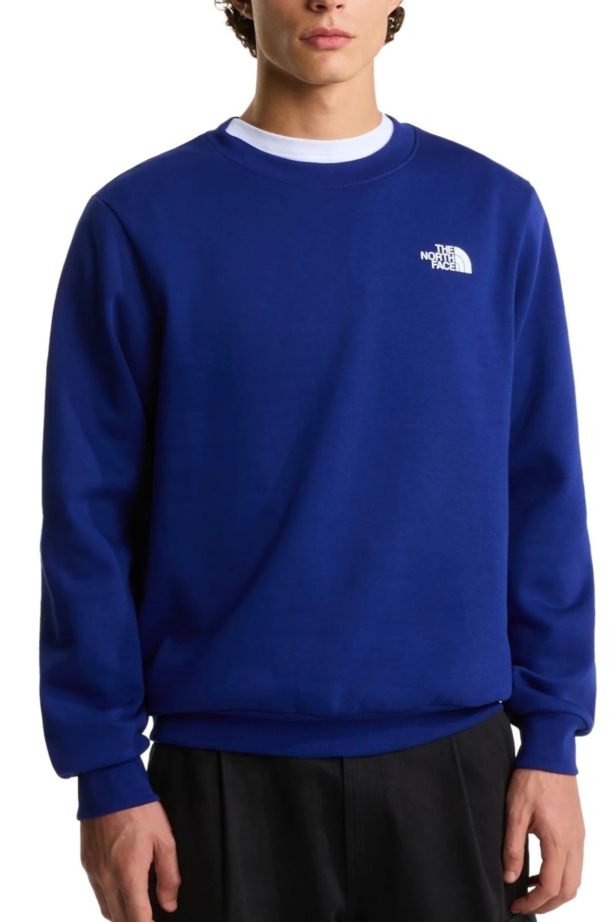THE NORTH FACE M EVO BOX NSE REG CREW en color   (1)