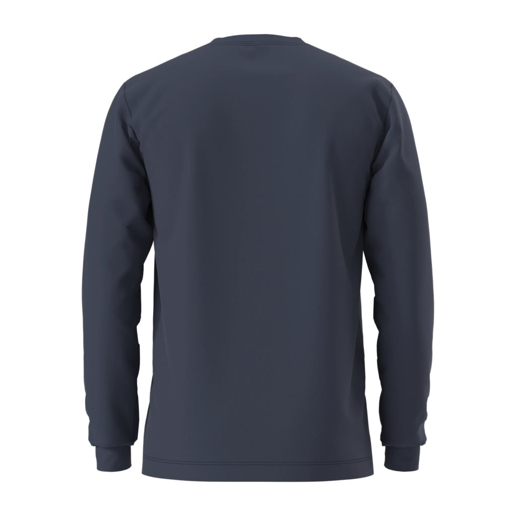 THE NORTH FACE M EVO SD REG LS TEE en color   (5)