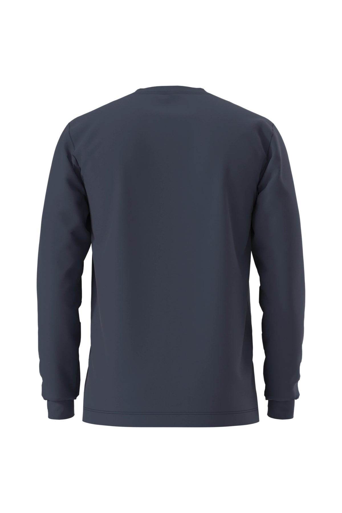 THE NORTH FACE M EVO SD REG LS TEE en color   (2)