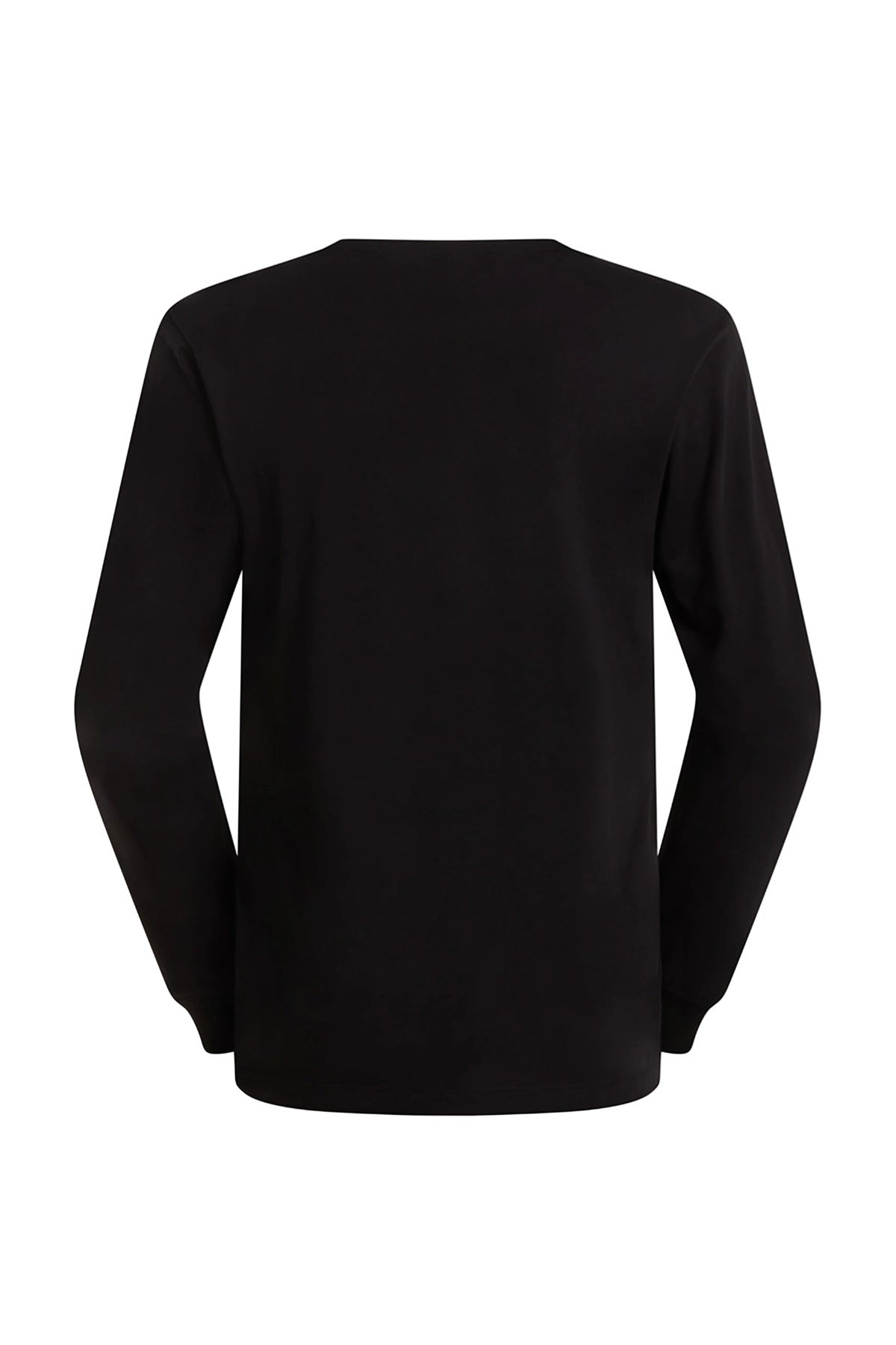 THE NORTH FACE M EVO SD REG LS TEE en color NEGRO  (2)