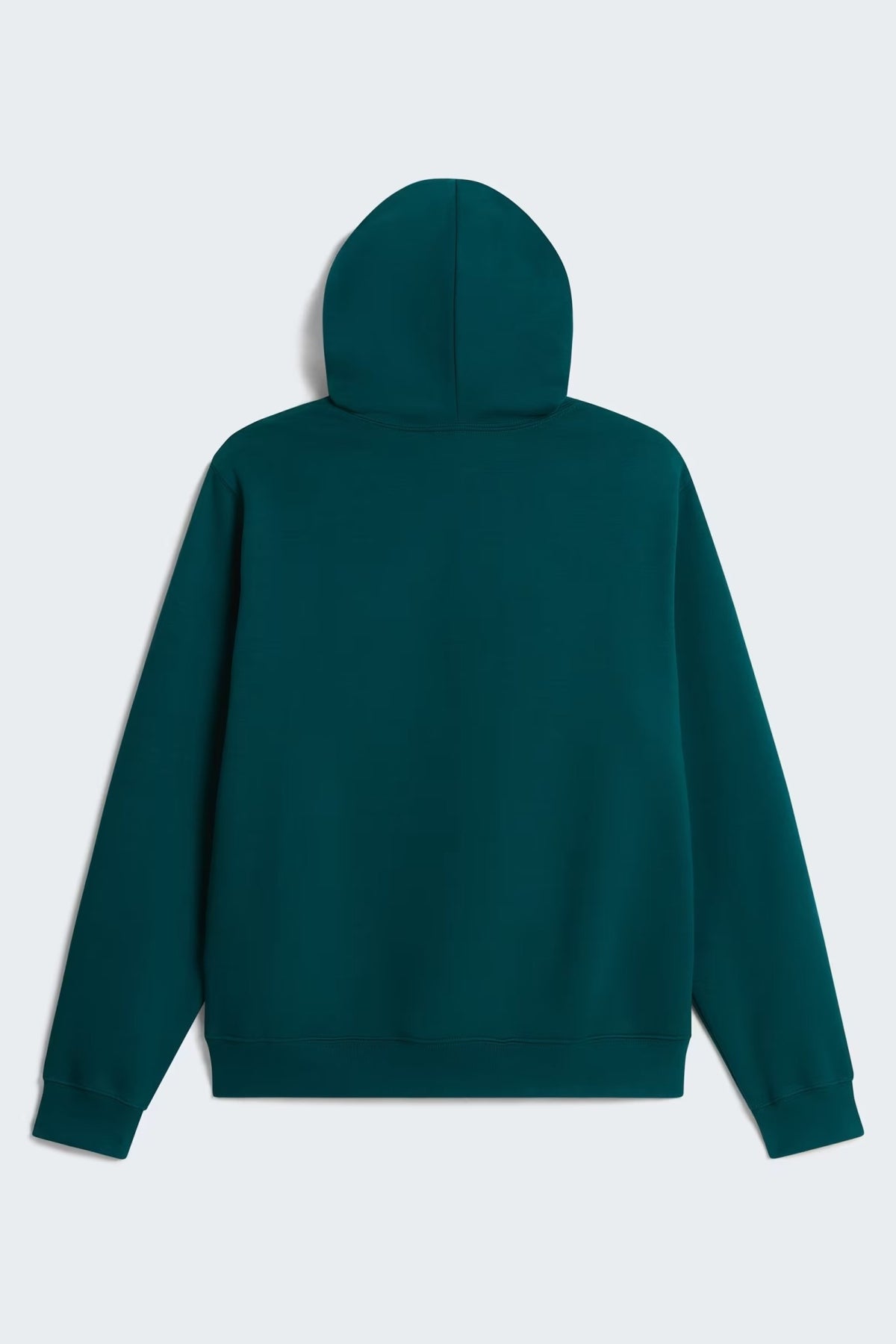 THE NORTH FACE M ESS DP REG HOODIE en color   (2)