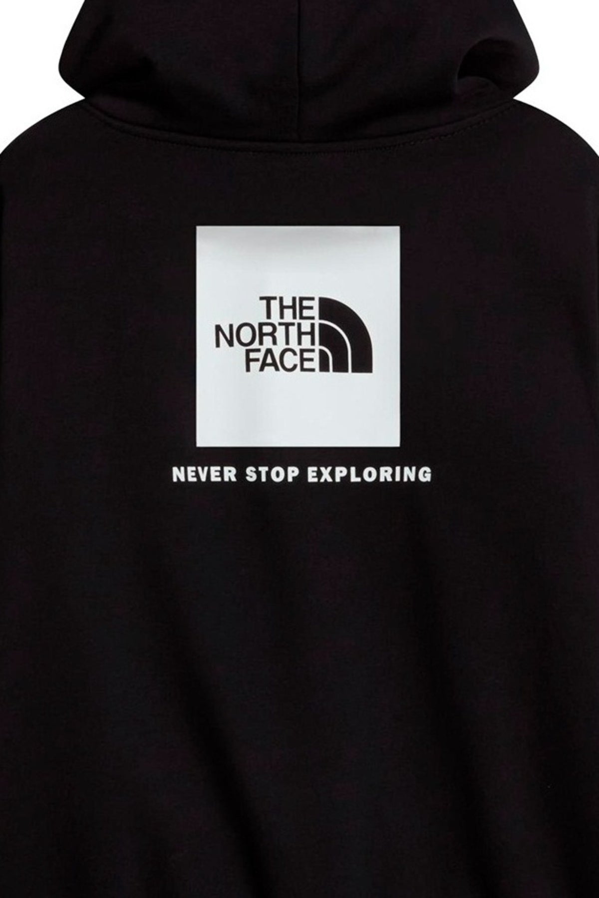 THE NORTH FACE M ESS SD RLX HOODIE en color   (4)