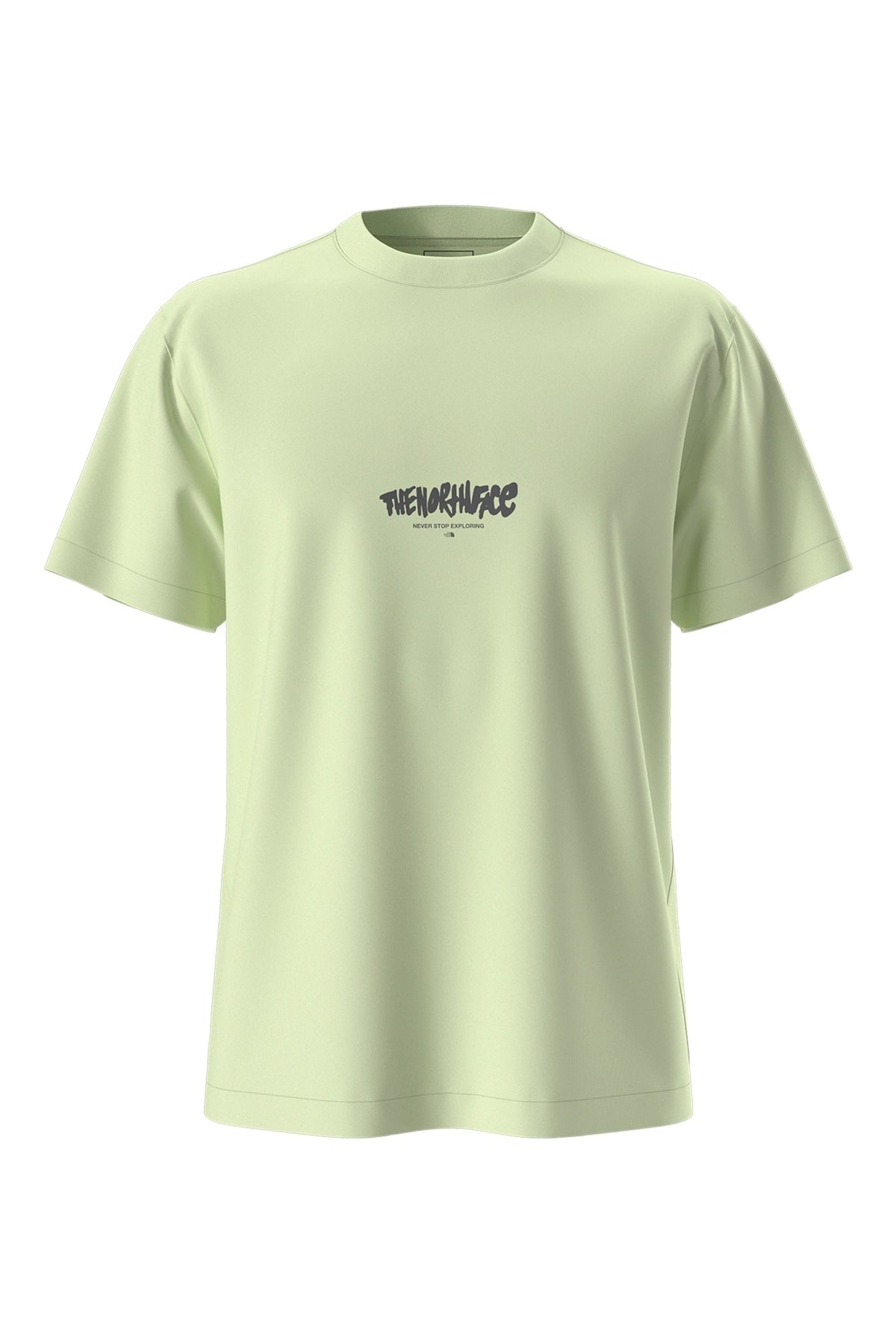 THE NORTH FACE U NSE RELAXED SS TEE en color VERDE  (1)
