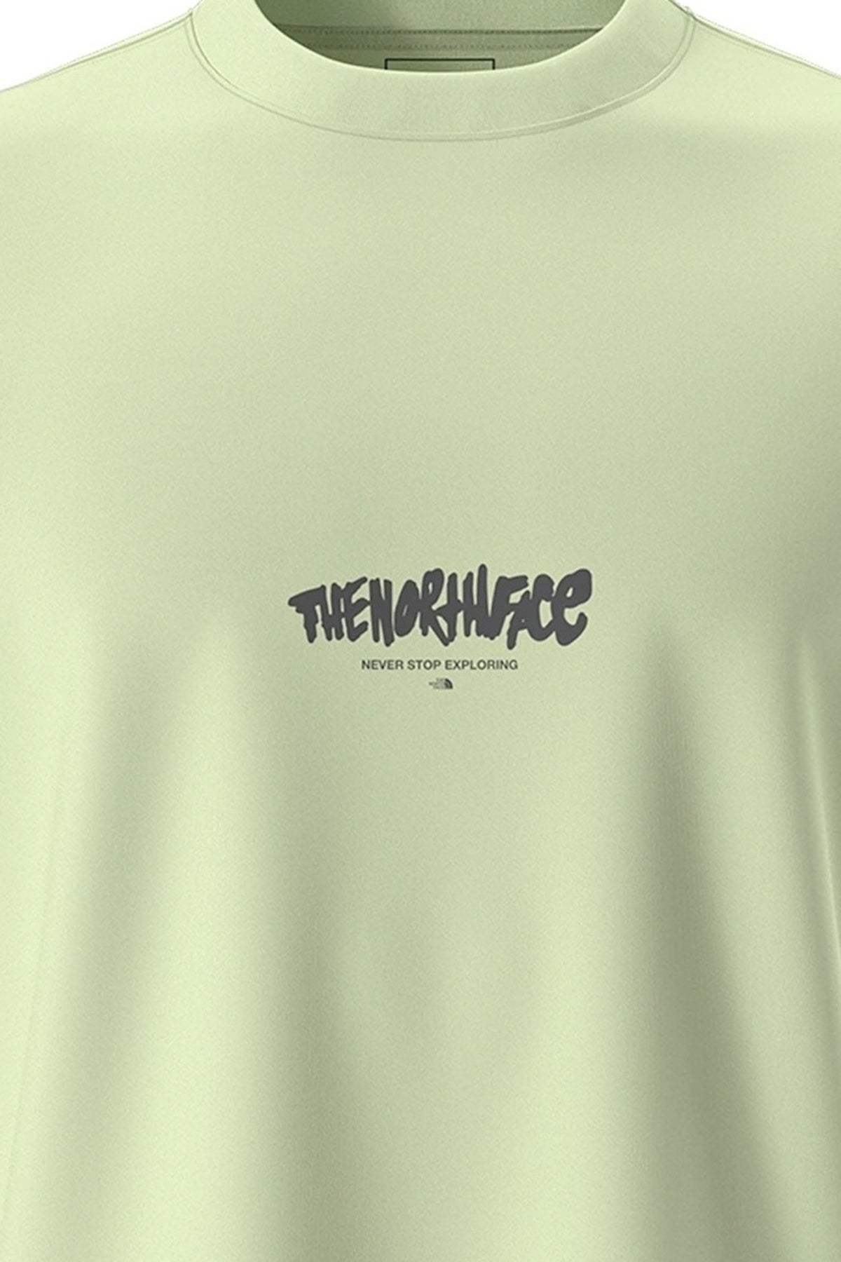 THE NORTH FACE U NSE RELAXED SS TEE en color VERDE  (4)