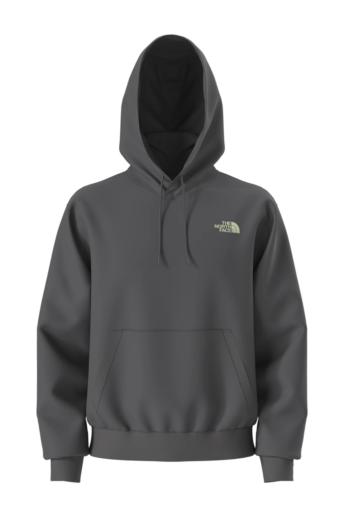 THE NORTH FACE U HOODIE RELAXED - SKI en color GRIS  (1)