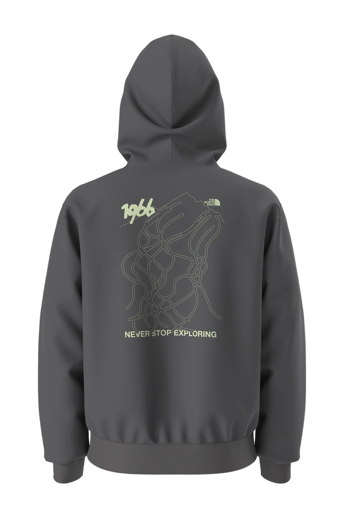 THE NORTH FACE U HOODIE RELAXED - SKI en color GRIS  (2)