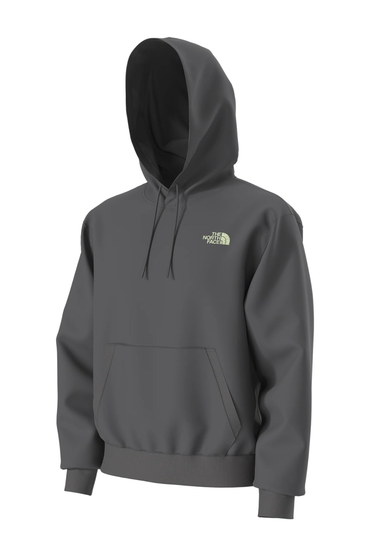 THE NORTH FACE U HOODIE RELAXED - SKI en color GRIS  (3)