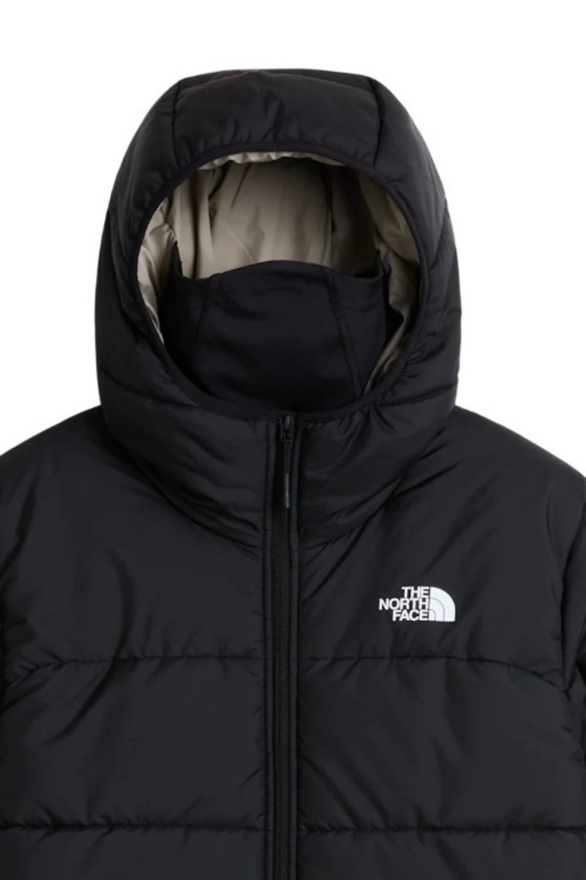 THE NORTH FACE M NSE HOODED MASK JKT en color   (3)