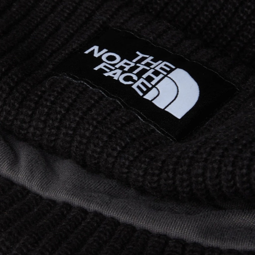 THE NORTH FACE SALTY LINED BEANIE en color   (5)
