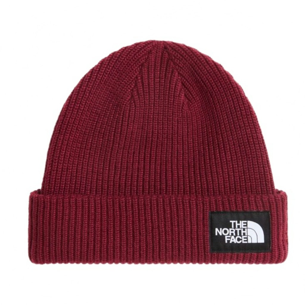 THE NORTH FACE SALTY LINED BEANIE en color   (4)