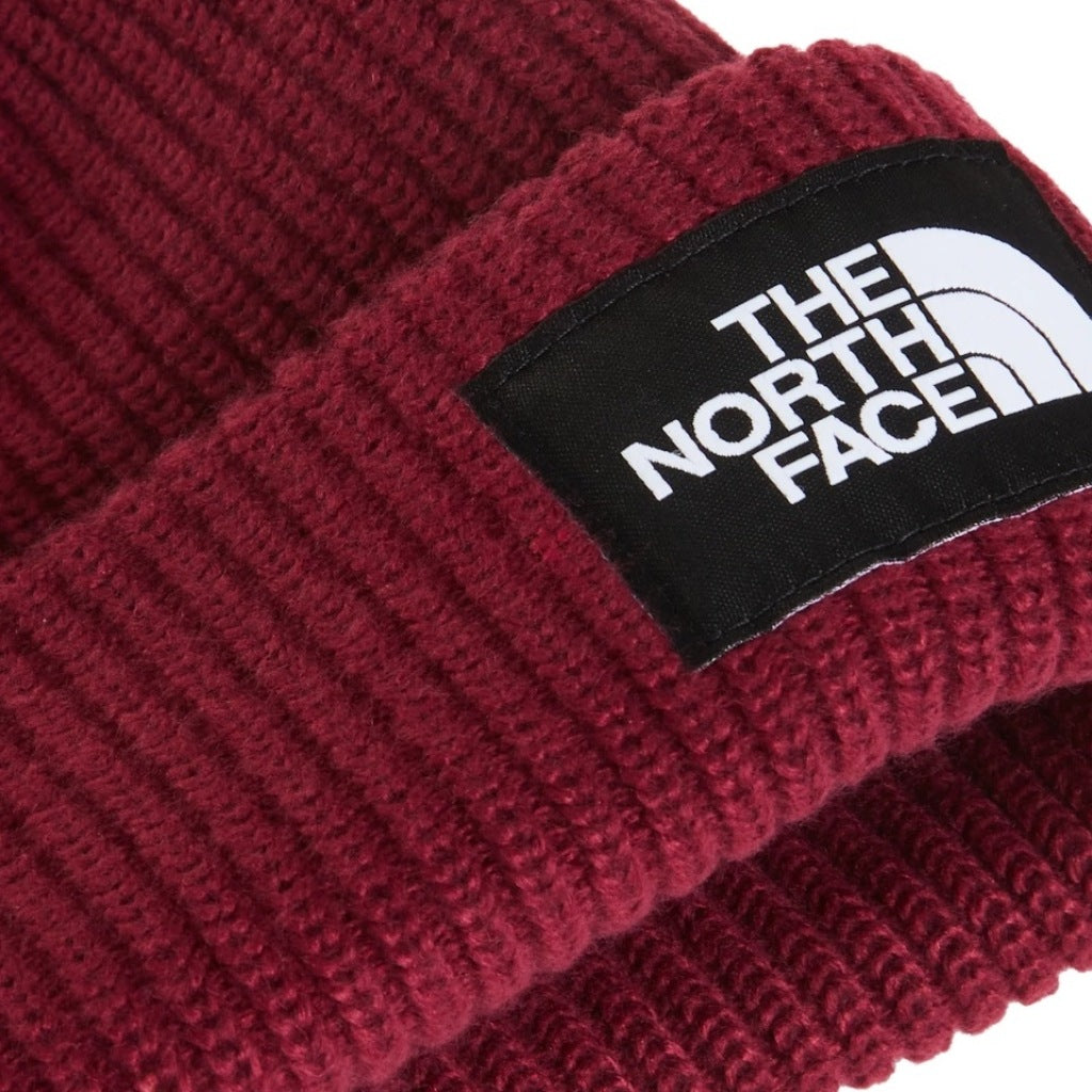 THE NORTH FACE SALTY LINED BEANIE en color BURDEOS  (5)