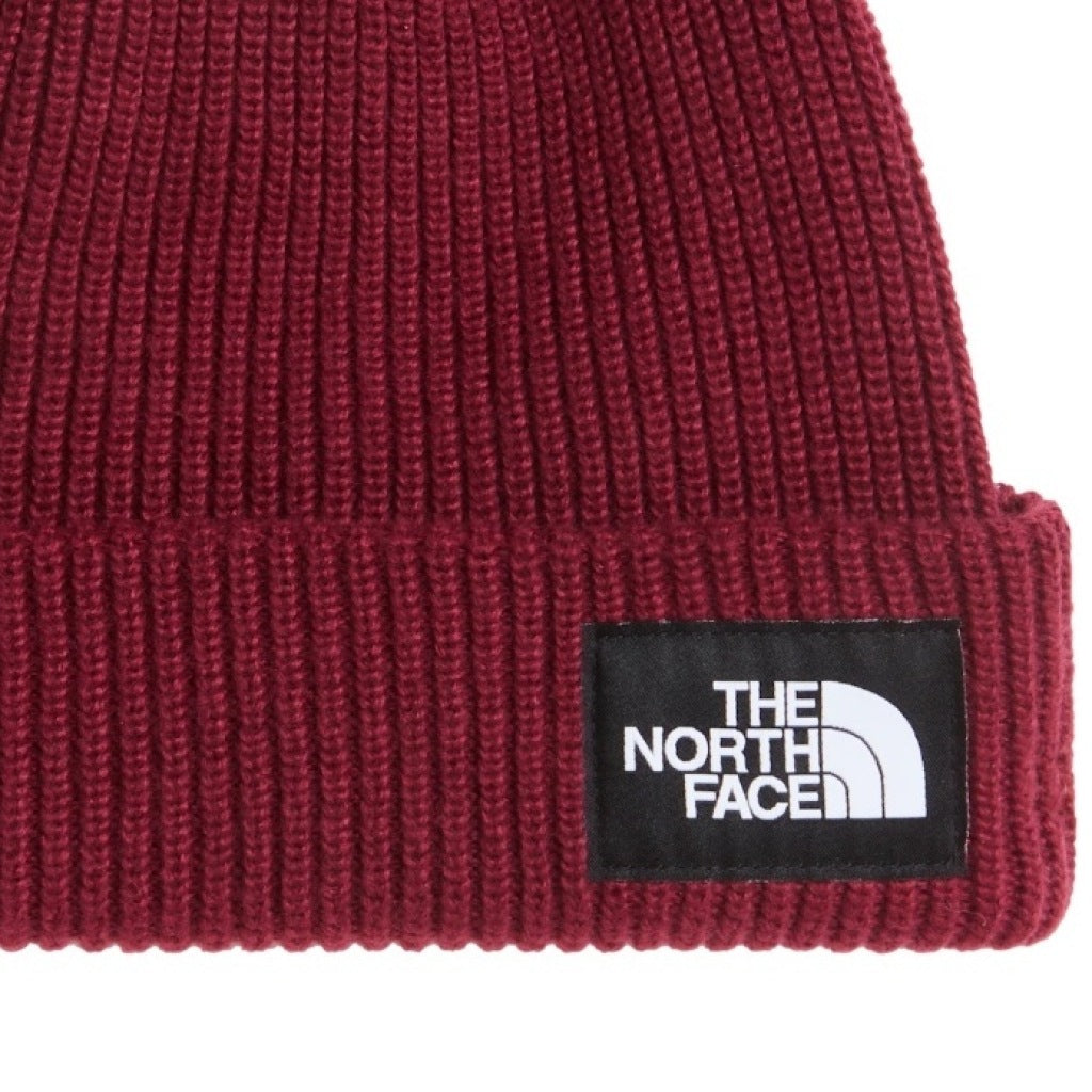THE NORTH FACE SALTY LINED BEANIE en color   (6)
