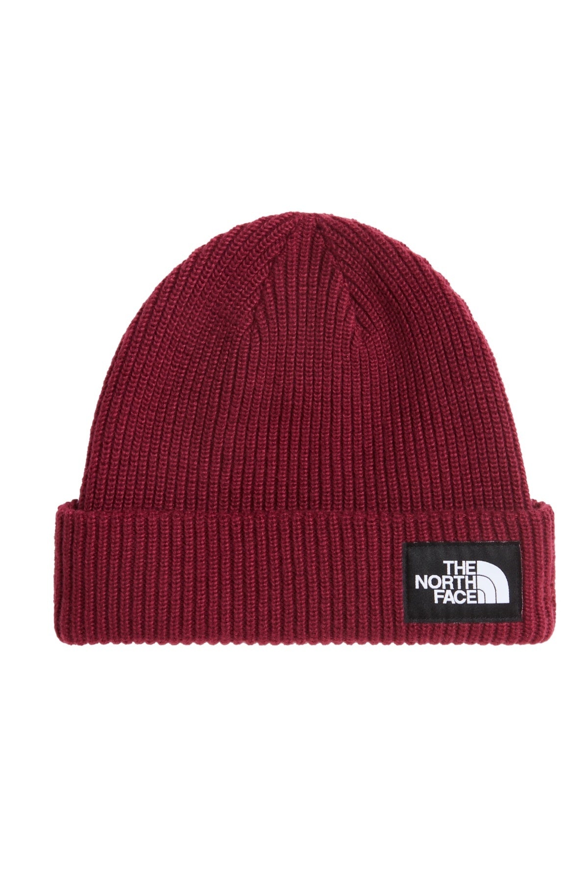 THE NORTH FACE SALTY LINED BEANIE en color   (1)
