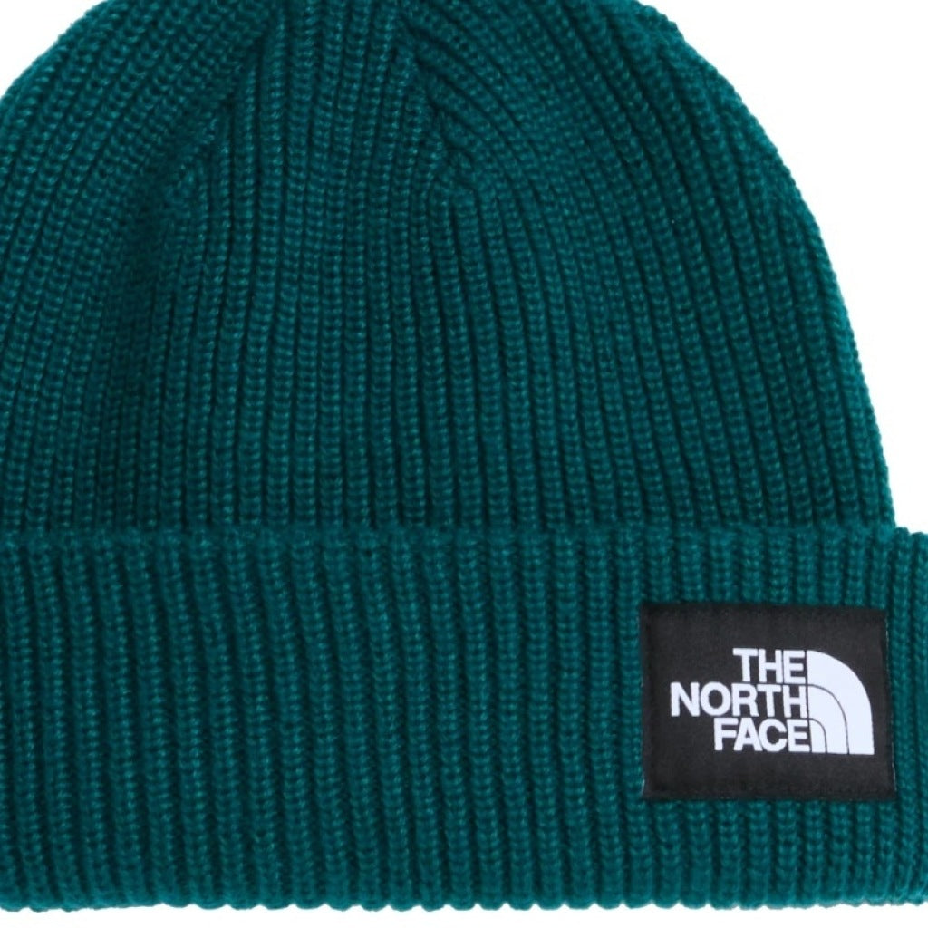 THE NORTH FACE SALTY LINED BEANIE en color   (5)