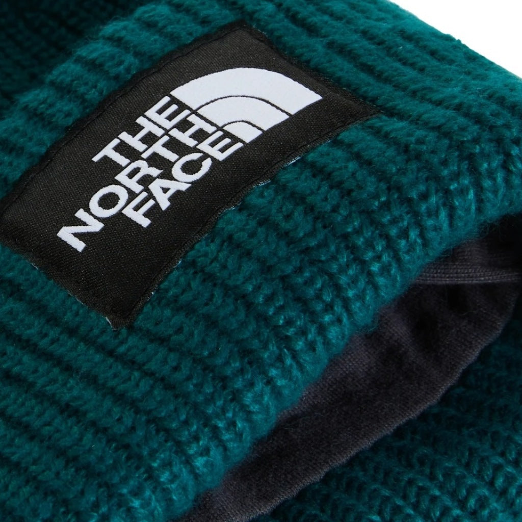 THE NORTH FACE SALTY LINED BEANIE en color   (6)