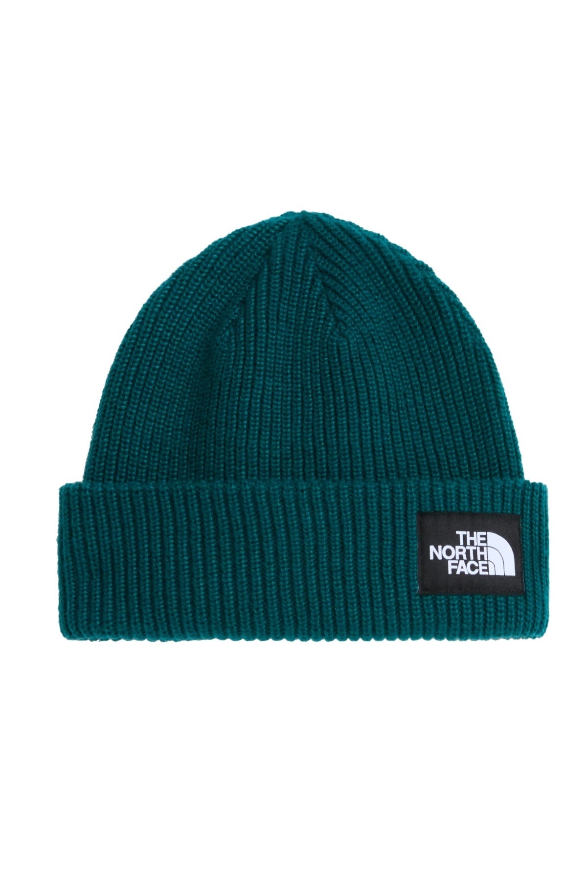 THE NORTH FACE SALTY LINED BEANIE en color   (1)
