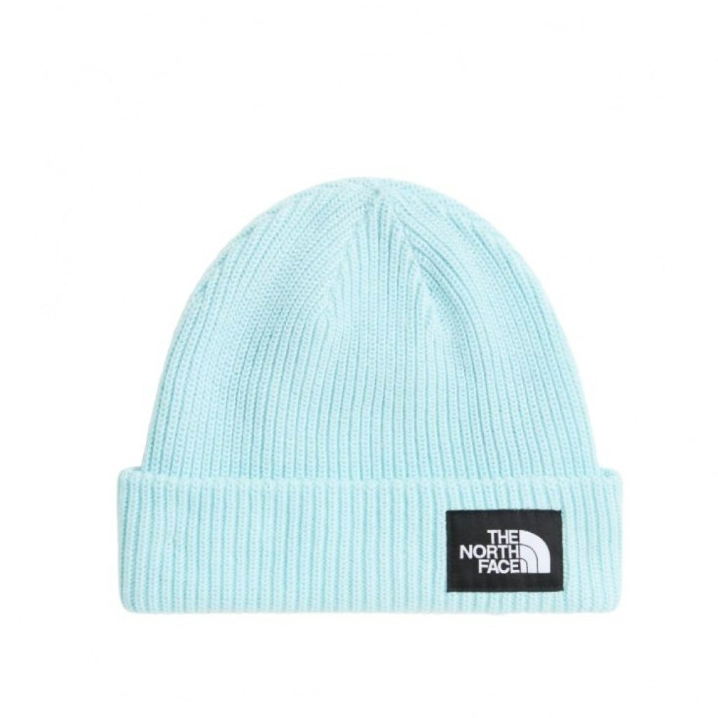 THE NORTH FACE SALTY LINED BEANIE en color   (4)