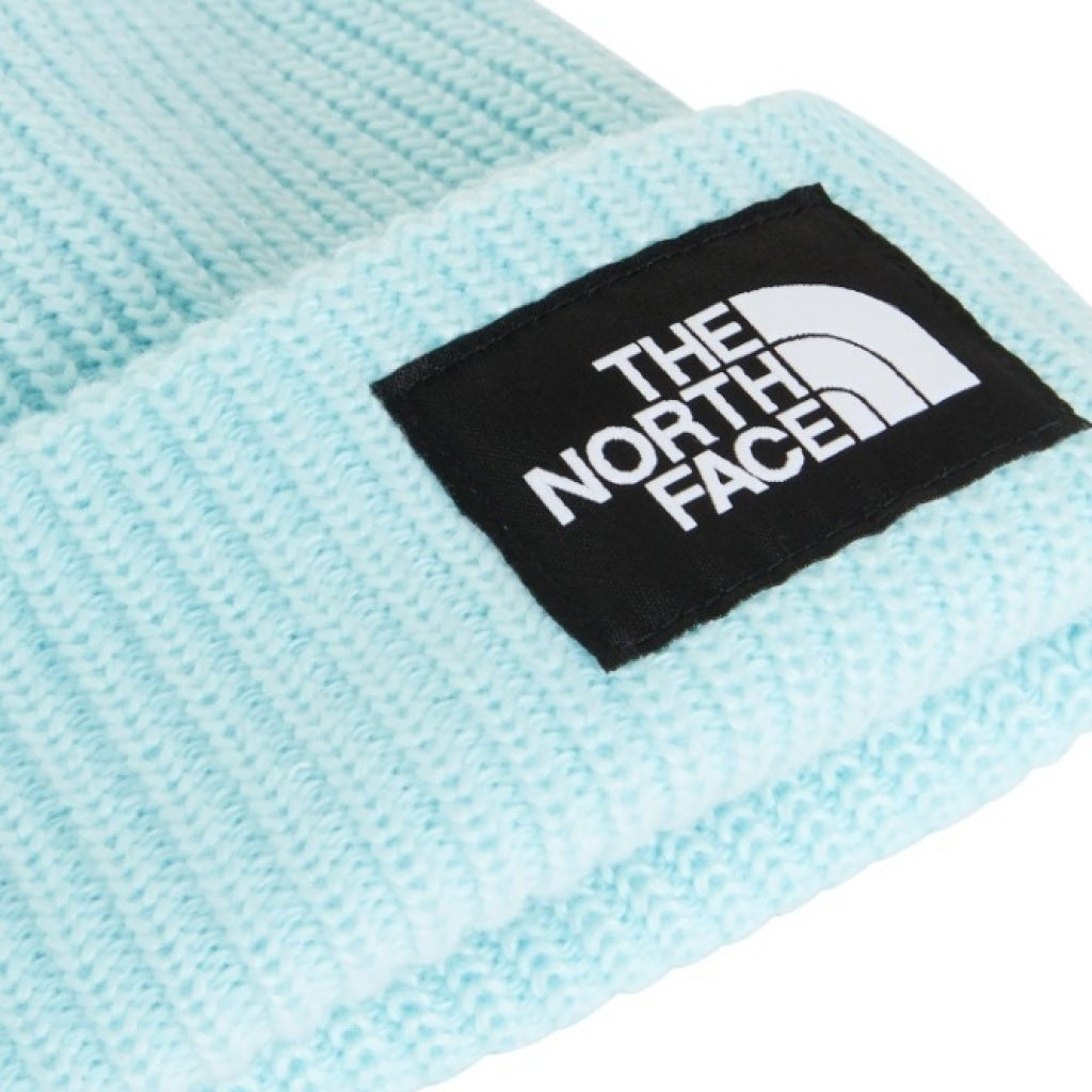 THE NORTH FACE SALTY LINED BEANIE en color   (5)