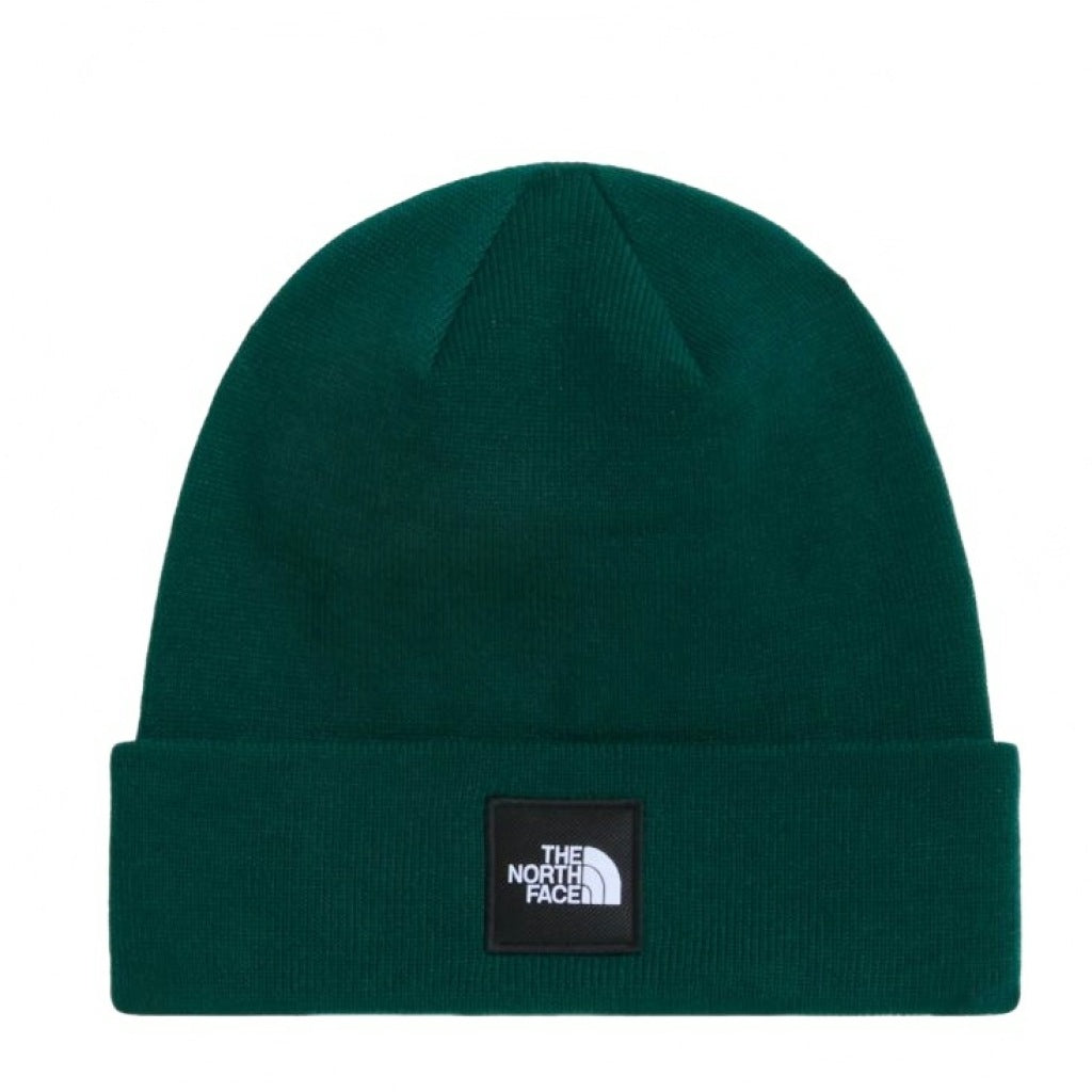 THE NORTH FACE DOCK WORKER RCYCLD BNE en color VERDE  (4)