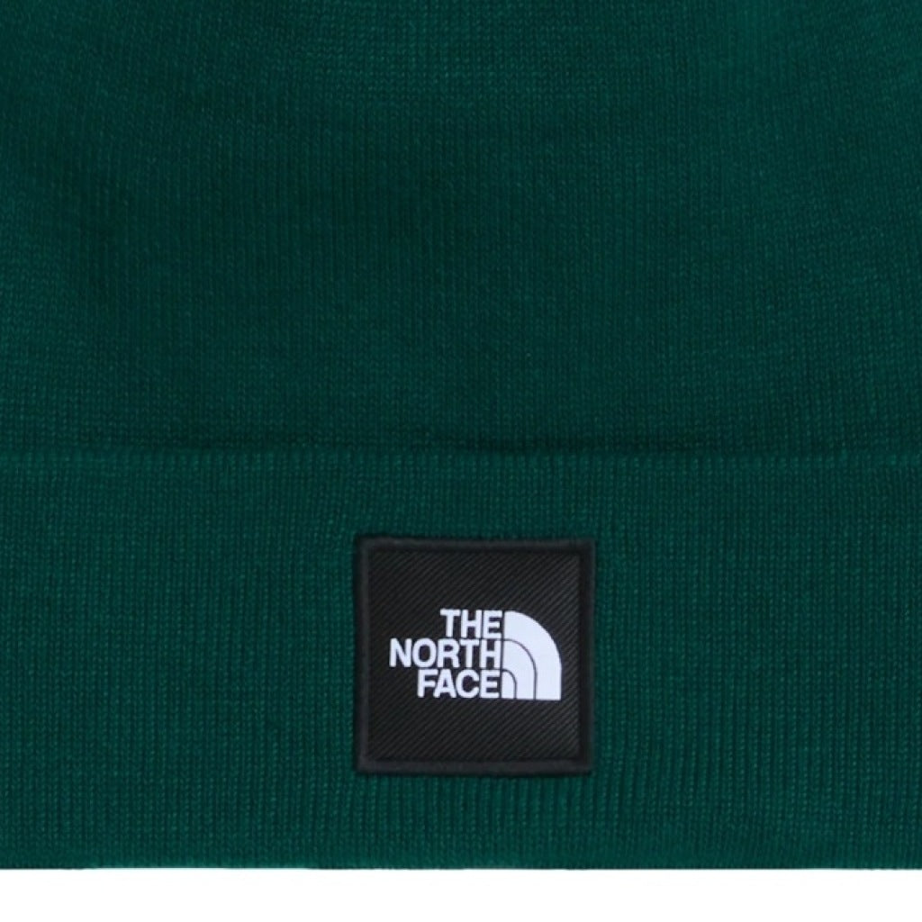 THE NORTH FACE DOCK WORKER RCYCLD BNE en color VERDE  (5)