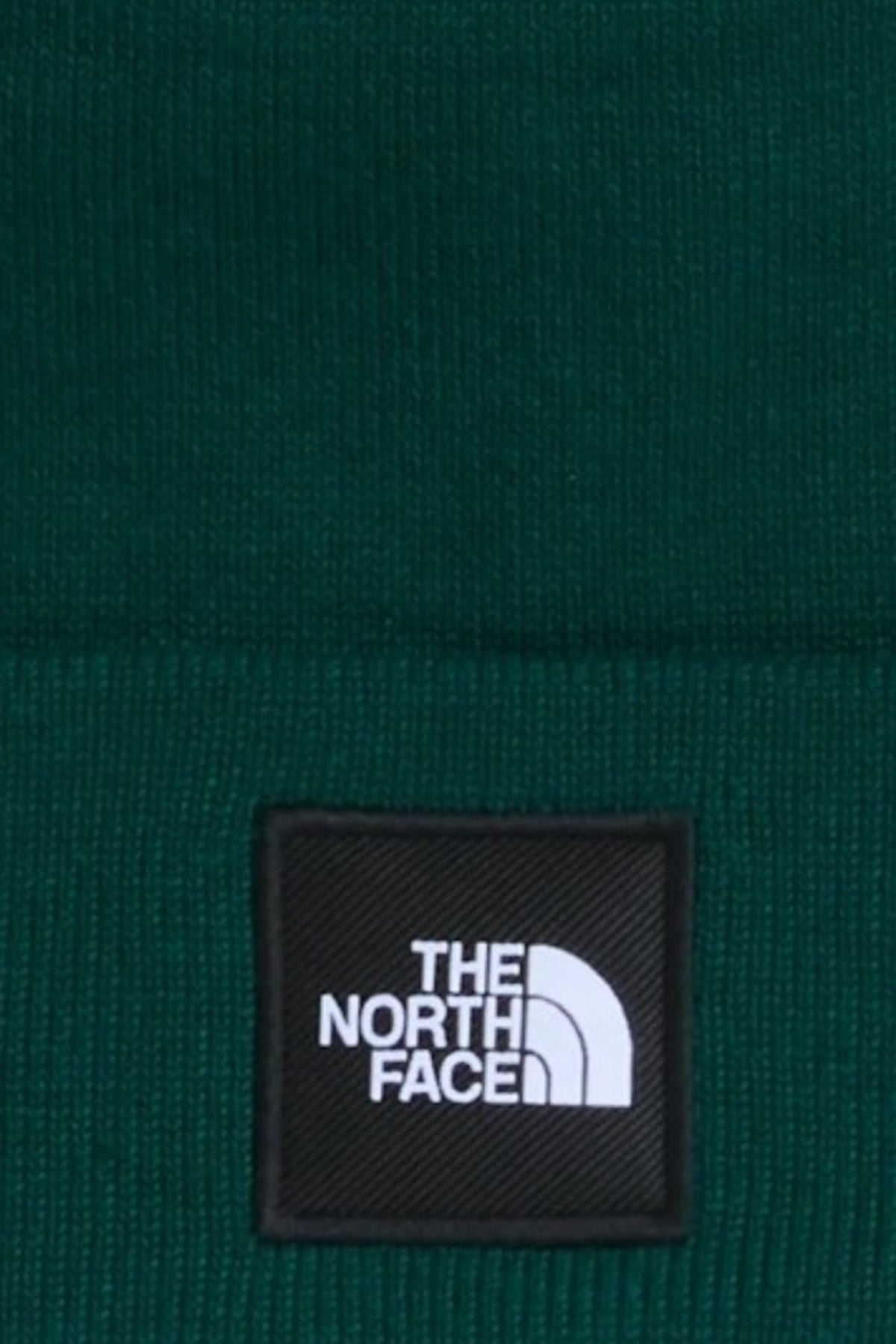 THE NORTH FACE DOCK WORKER RCYCLD BNE en color VERDE  (2)