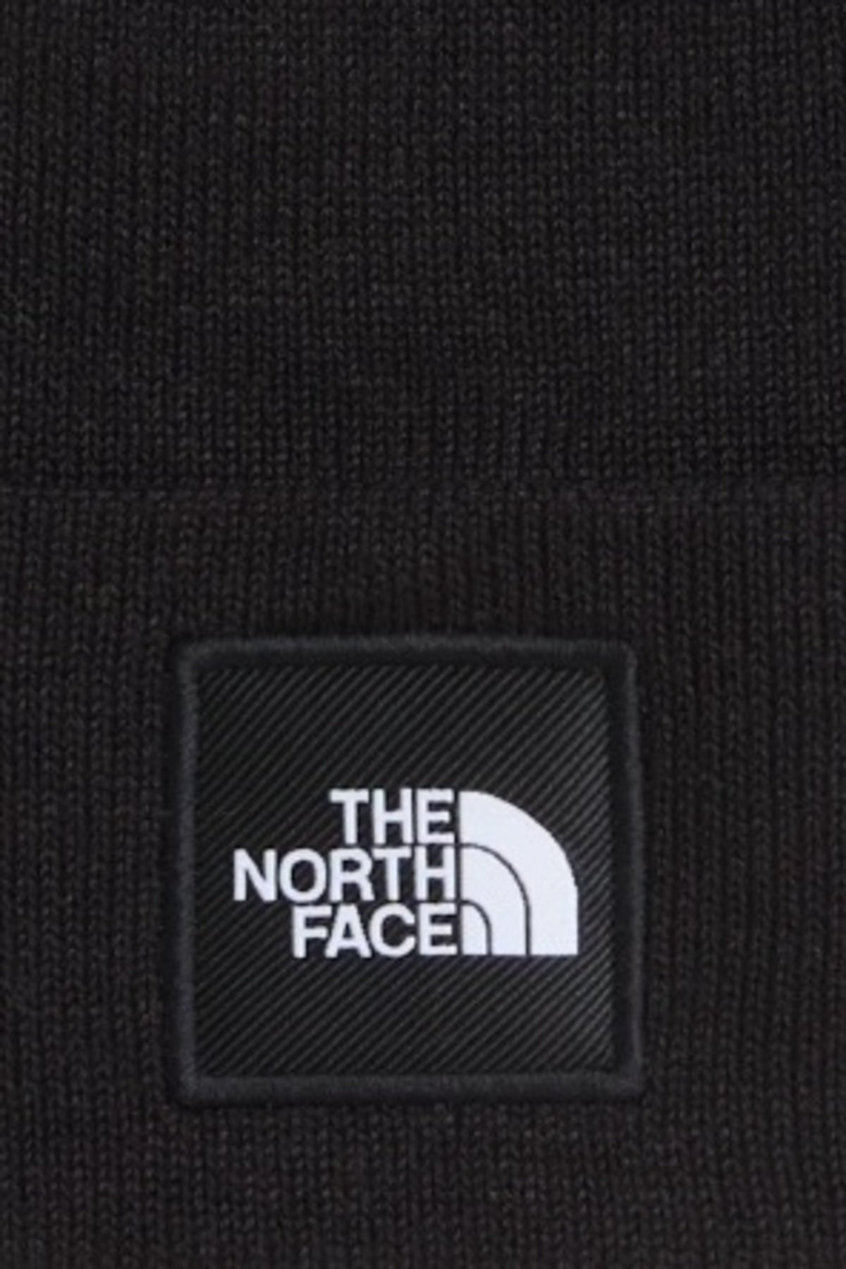 THE NORTH FACE DOCK WORKER RCYCLD BNE en color   (3)