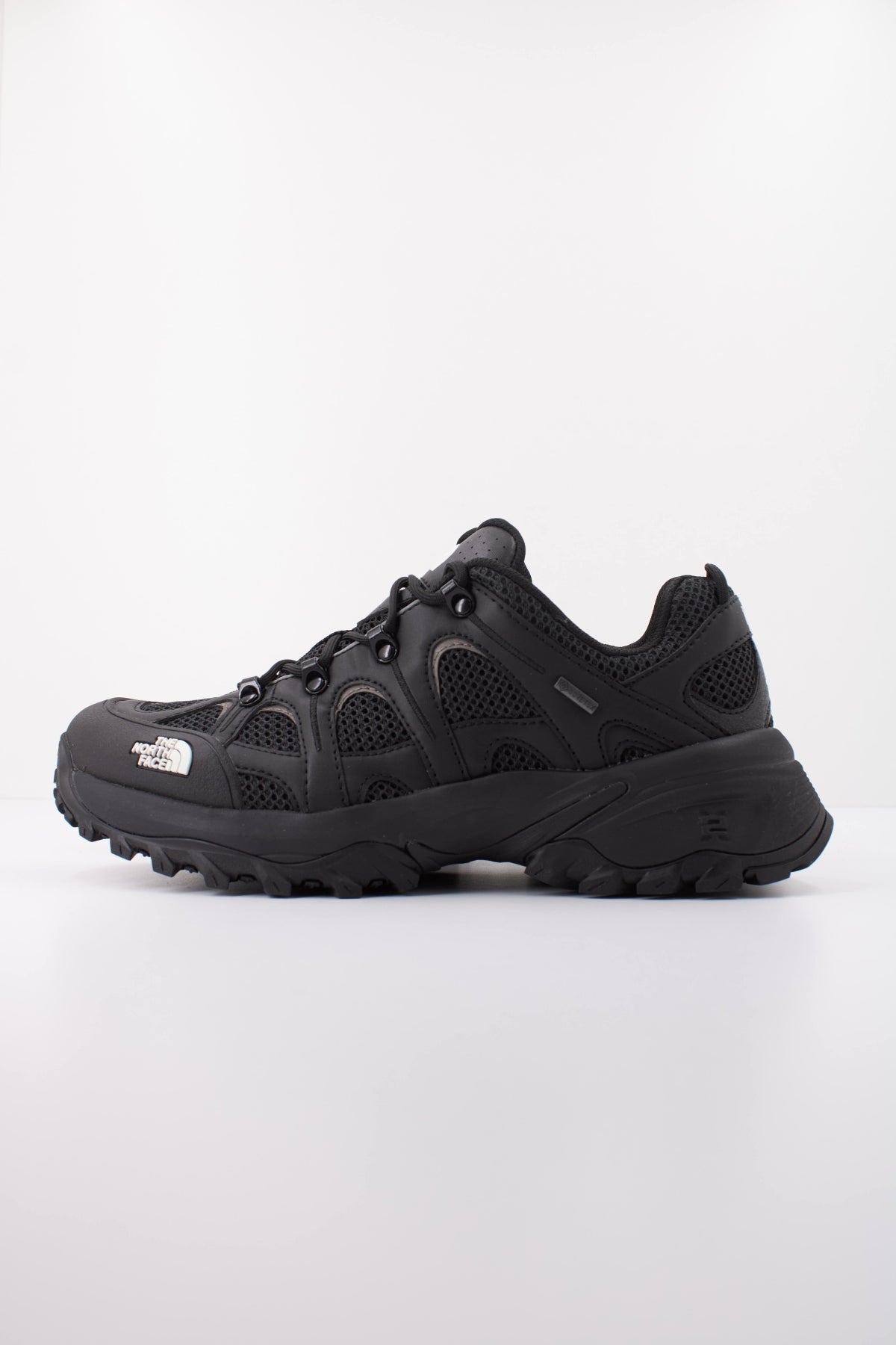 THE NORTH FACE HDGHG  RMST GTX en color NEGRO  (1)