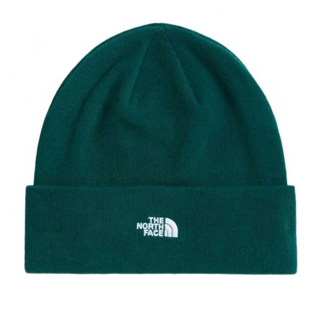 THE NORTH FACE NORM BEANIE en color   (4)