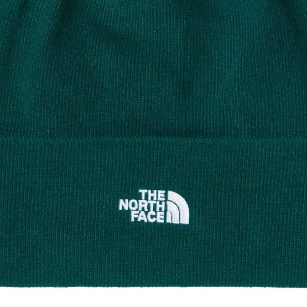 THE NORTH FACE NORM BEANIE en color   (5)