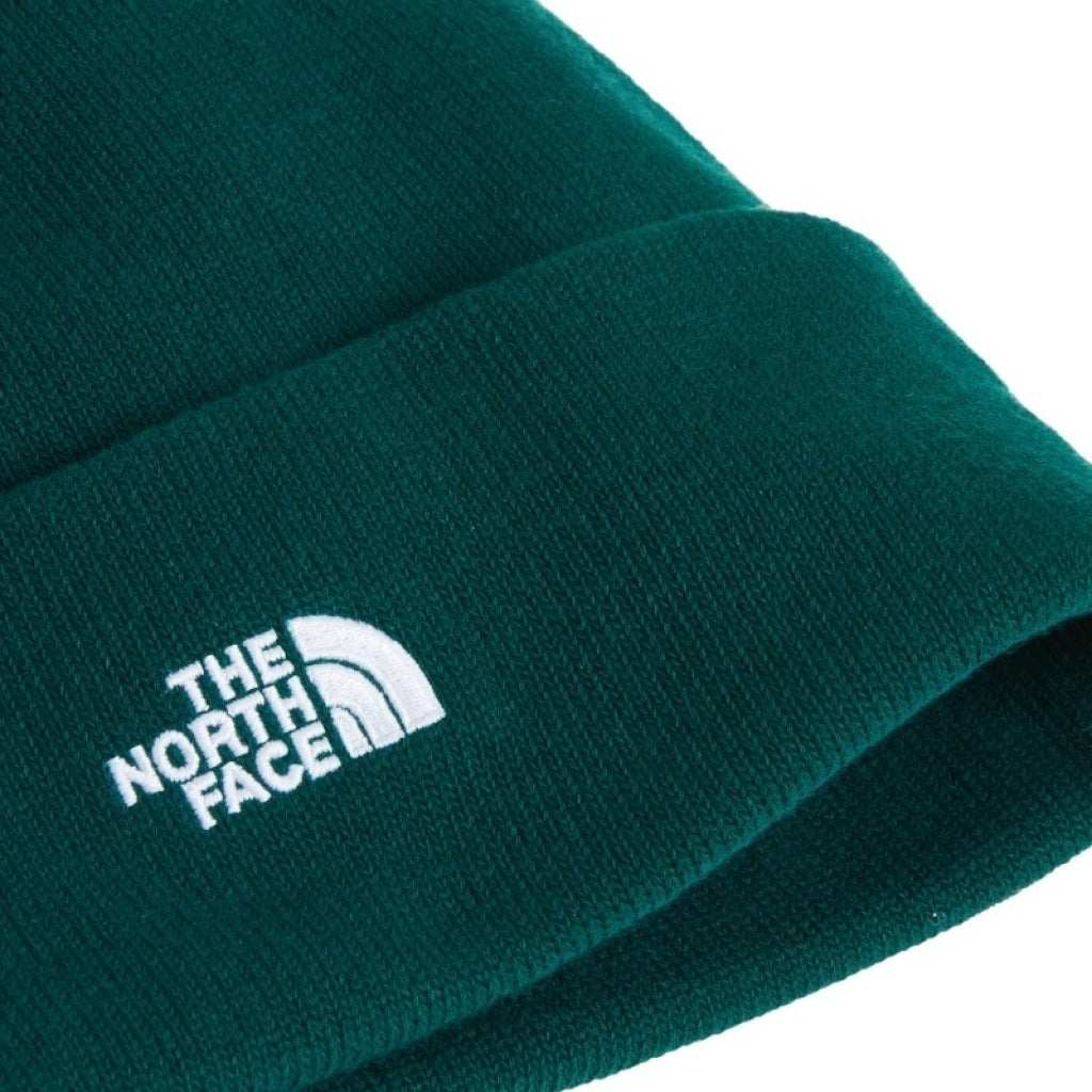 THE NORTH FACE NORM BEANIE en color   (6)