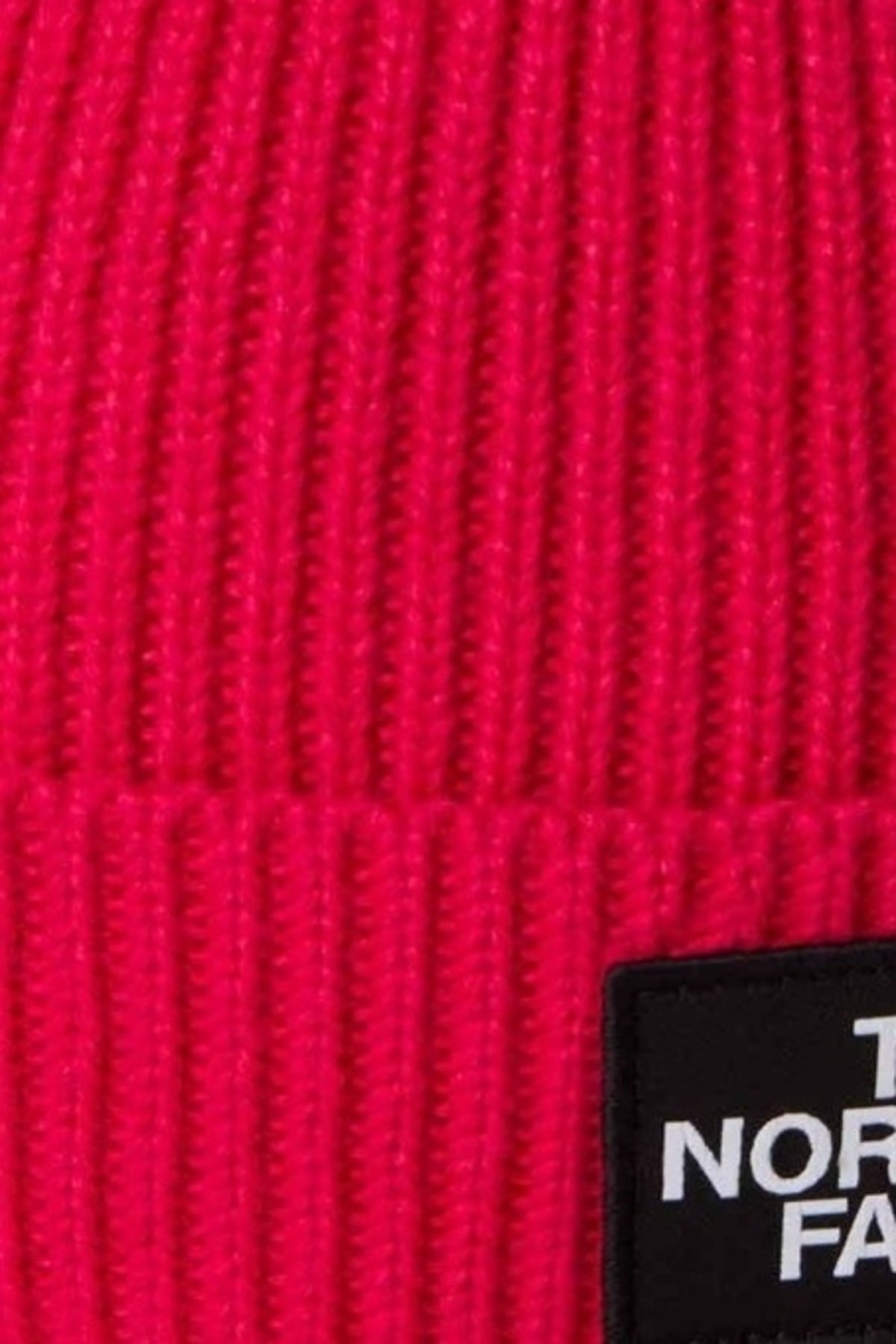 THE NORTH FACE TNF LOGO BOX CUFFED BNE en color   (3)